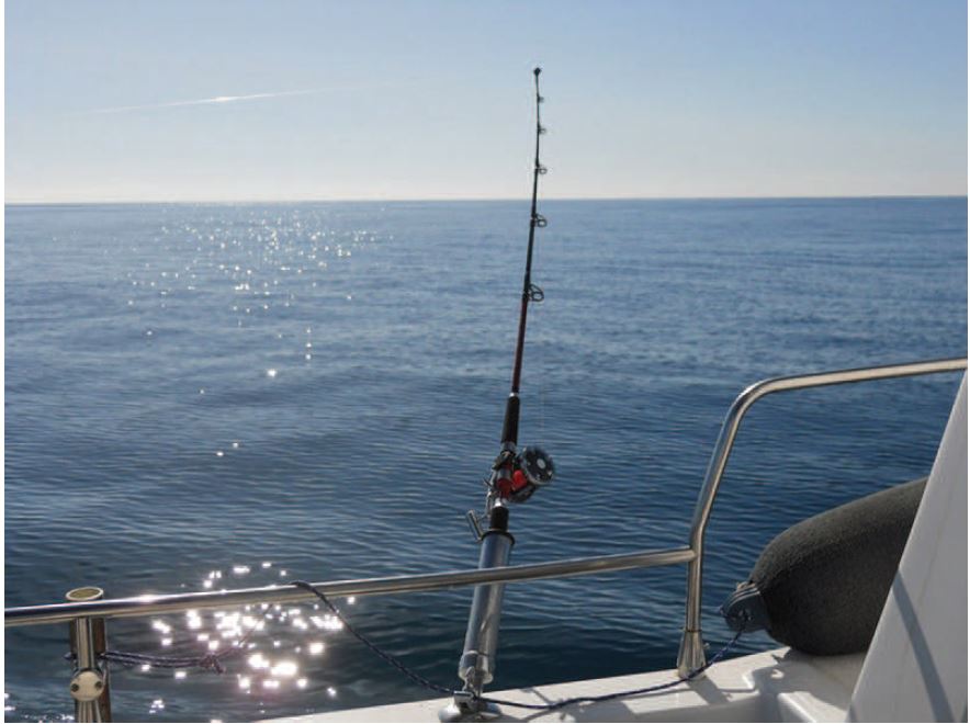 captura-pesca