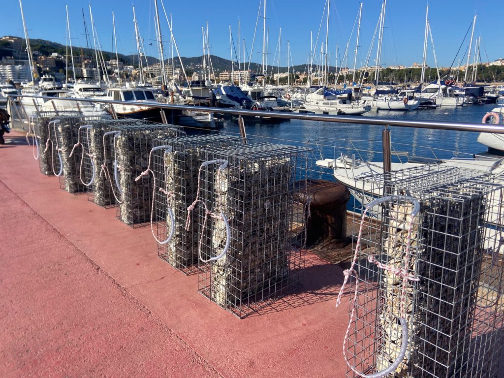 Biohut - hàbitats artificials - Club nàutic Sant Feliu de Guíxols Costa Brava